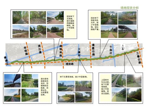 让路变成一道风景,闵行这里又新建三条绿道